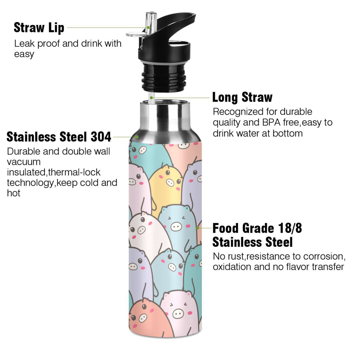 Stainless Steel Vacuum Insulated Water Bottle with Straw Lid 20 OZ L960149