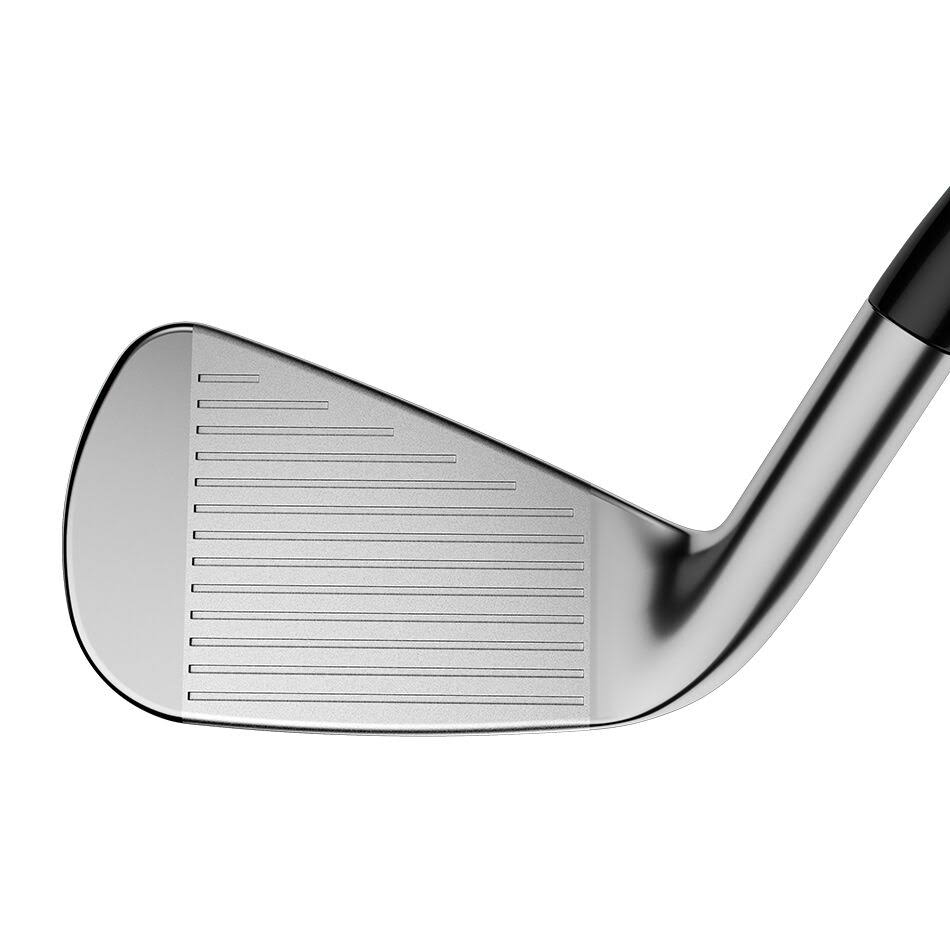 Forged Iron Set P202057