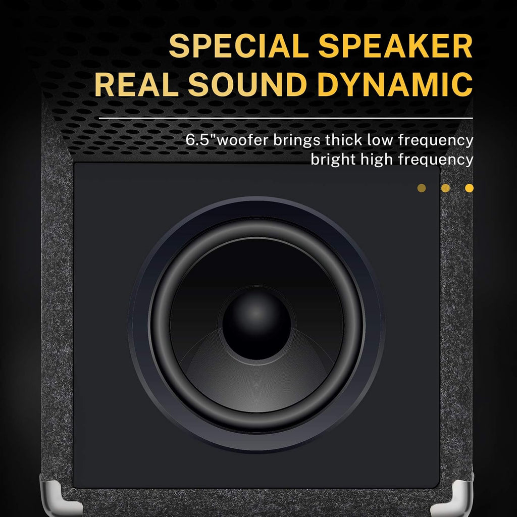 15W Bass Guitar Amplifier with Cable R776