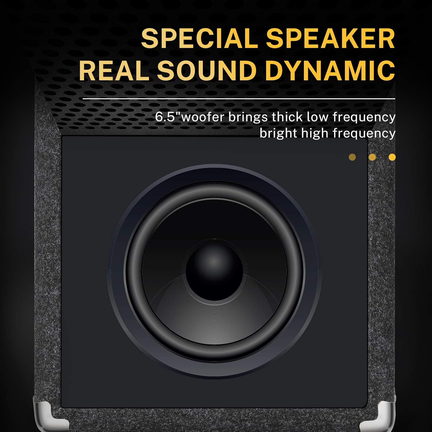 15W Bass Guitar Amplifier with Cable R776