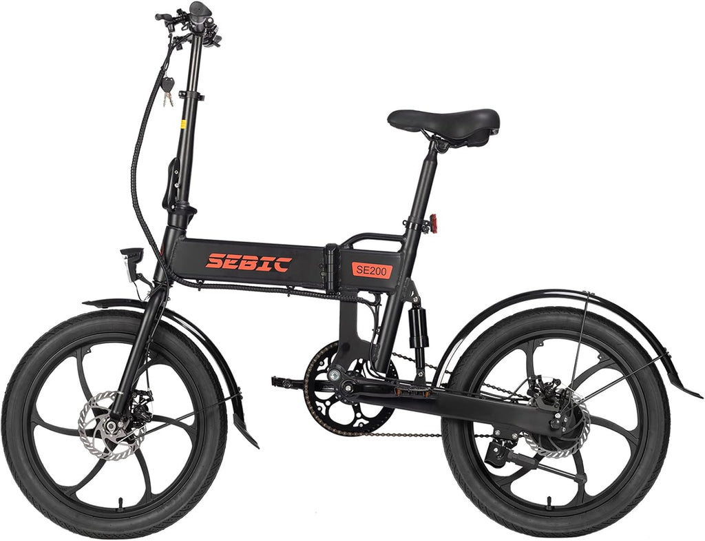 Folding Electric Bike 350W 20'' 36V/7.5Ah Removable Battery R198037
