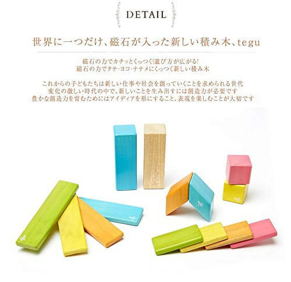 14 Piece Magnetic Wooden Block Set T333