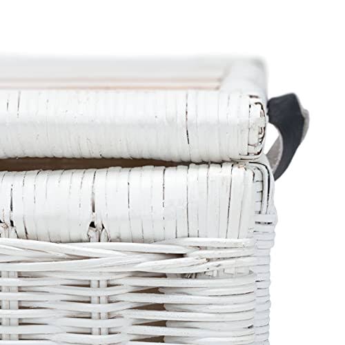 White/Brown Rattan Storage Trunk J9661