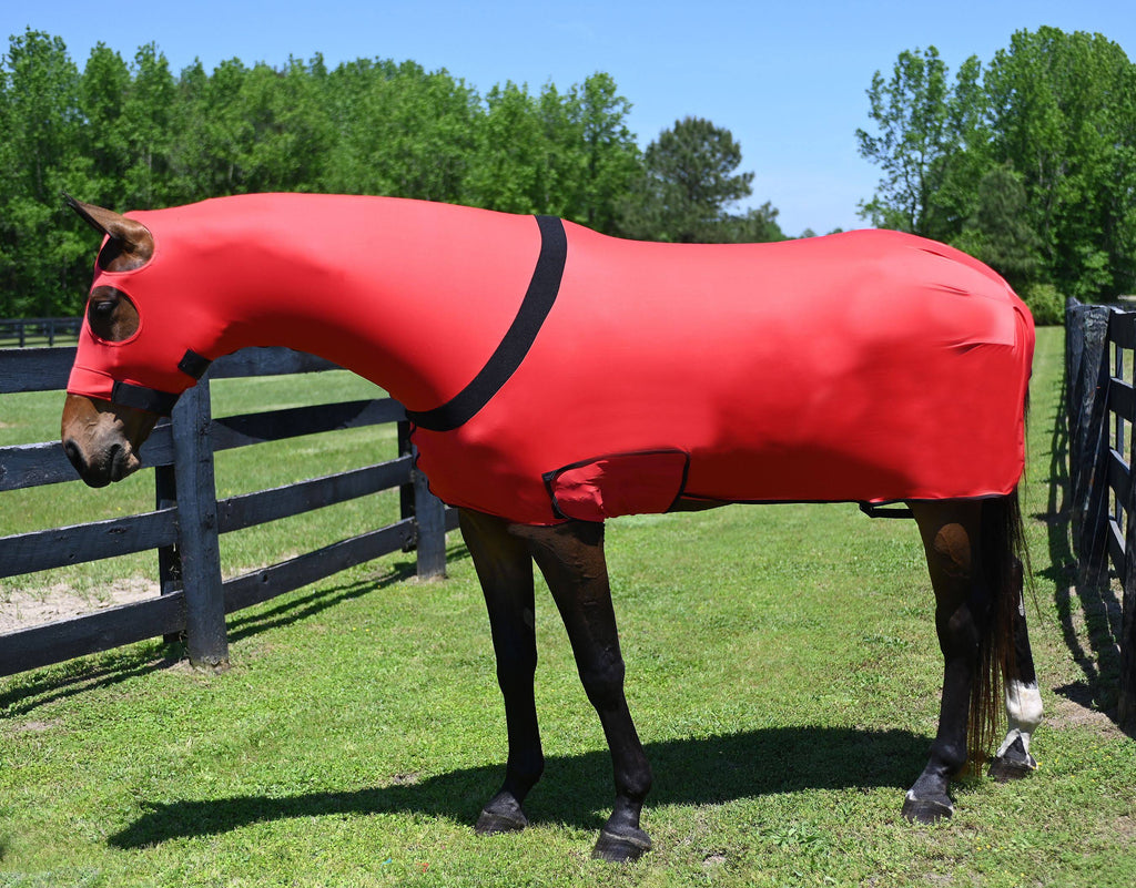 Full Body Slicker with Zipper T231
