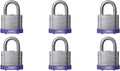 Purple Laminated Steel Padlock, Pack of 6 T248