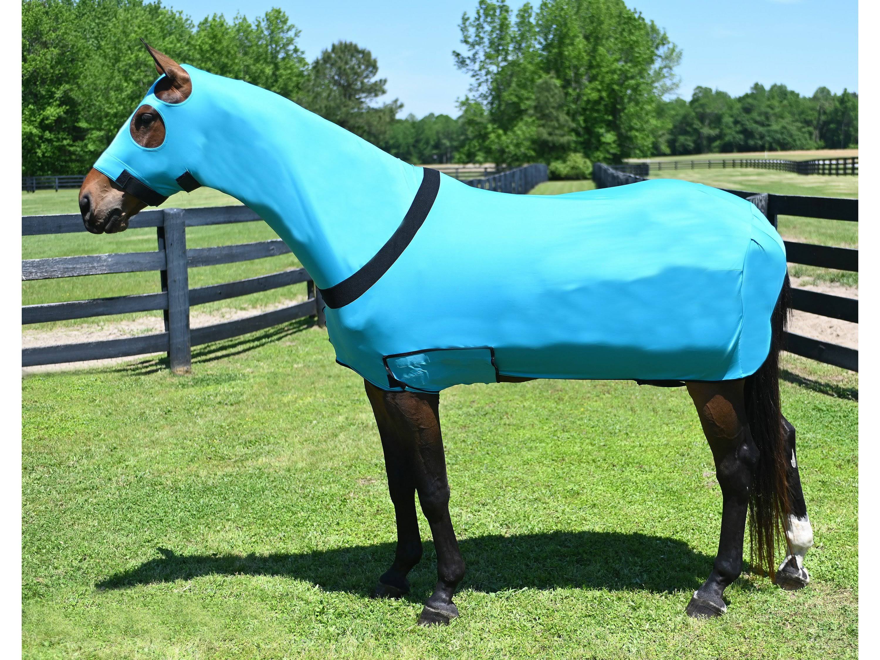 Full Body Slicker with Zipper T231
