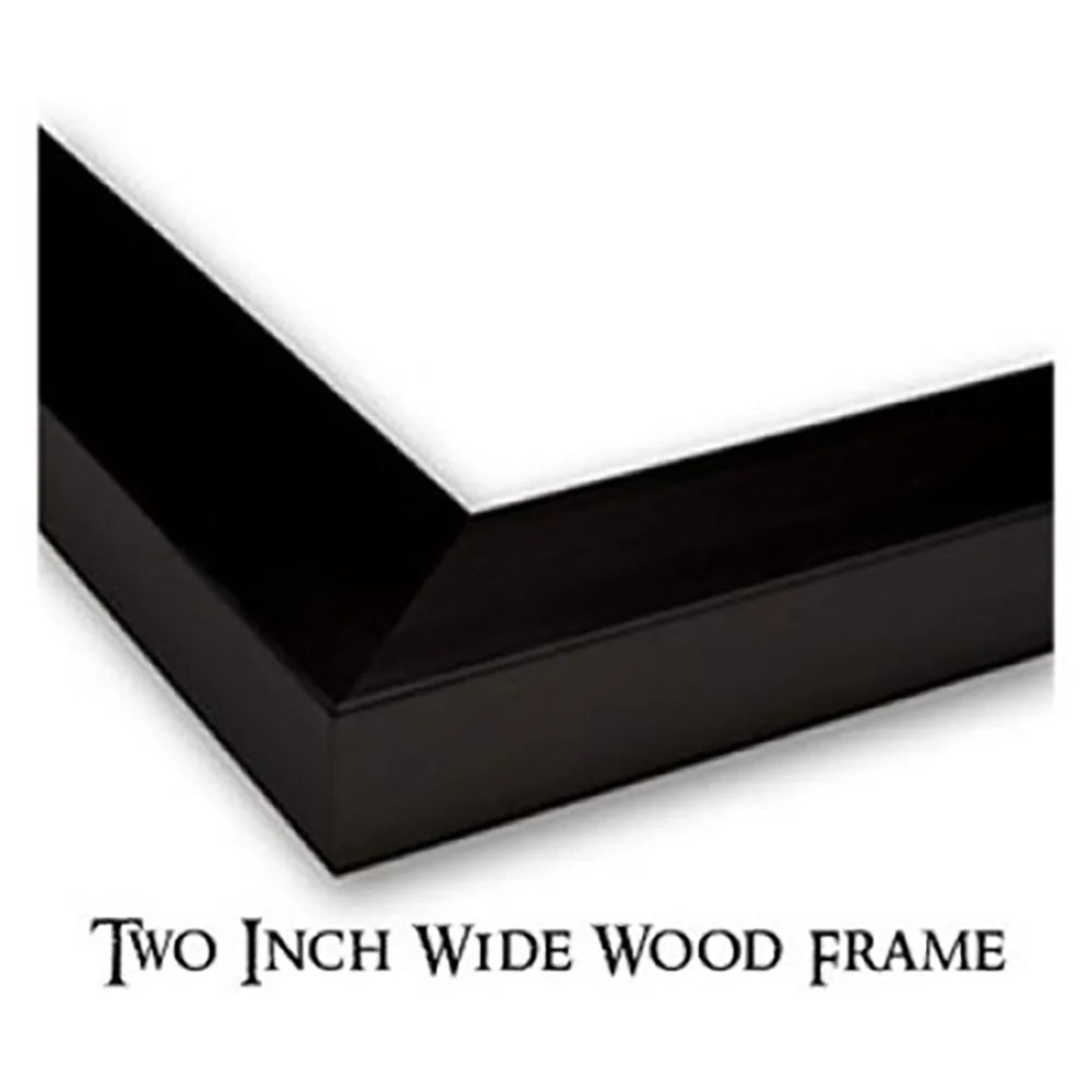 Black Modern Framed Museum Art Print V649