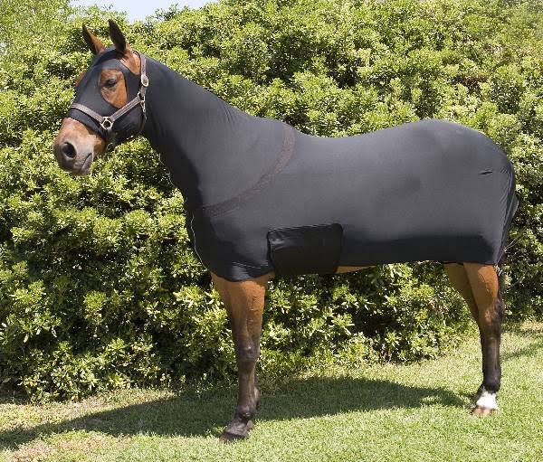 Full Body Slicker with Zipper T231
