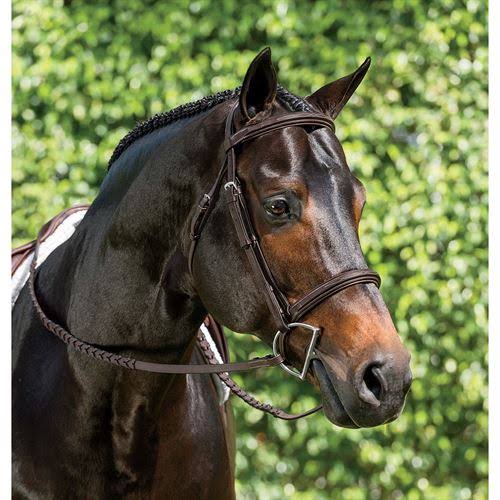 Oakbark Hunter Bridle T509024