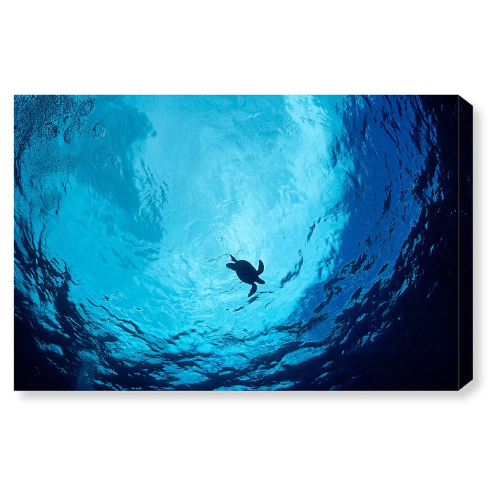 Blue Green Sea Turtle Canvas Art A376397