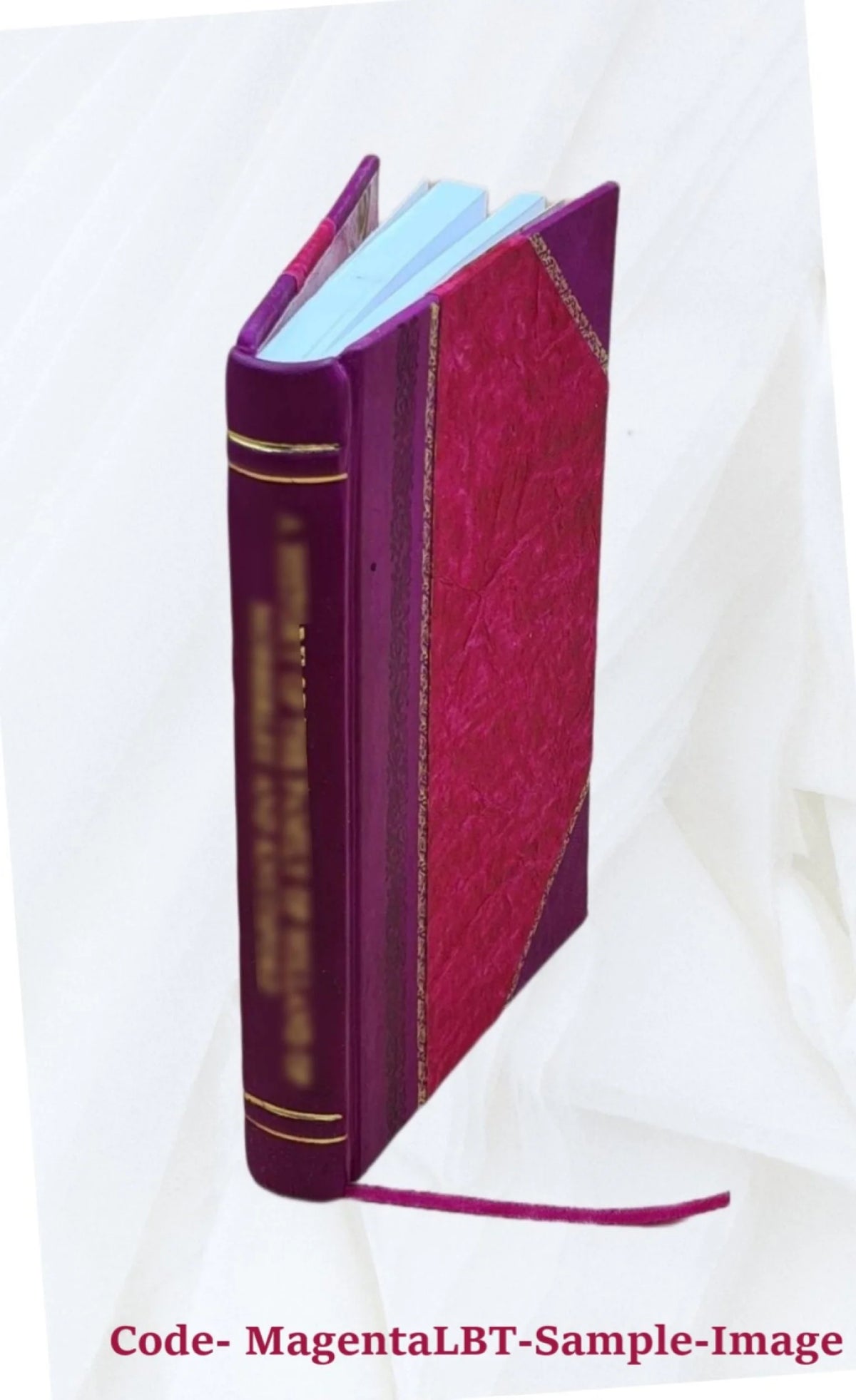 The Go̧ngu-Hrólfssaga: A Study in Old Norse Philology I168