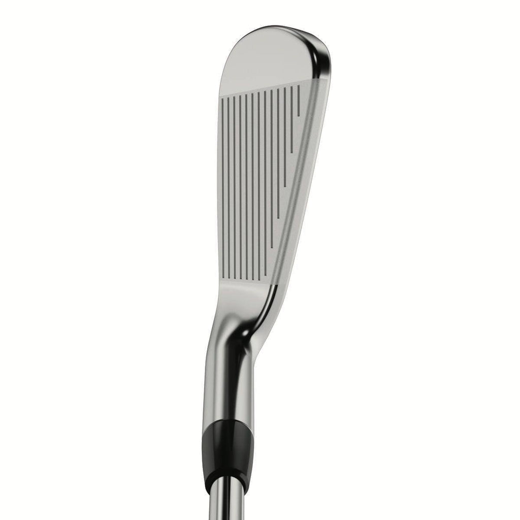 Forged Iron Set P202057