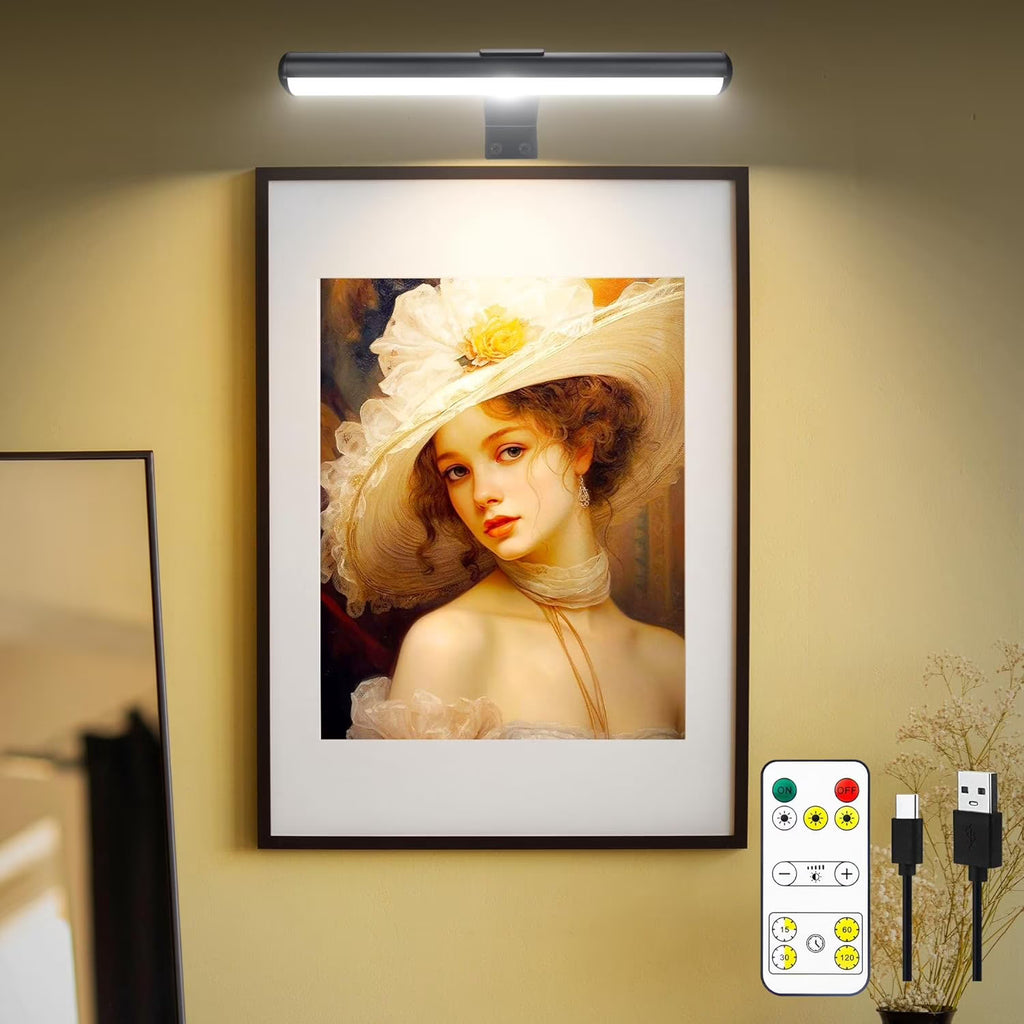 Rechargeable LED Picture Light with Metal Body T658