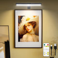 Rechargeable LED Picture Light with Metal Body T658