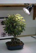 32W Fluorescent Grow Light Kit J1262