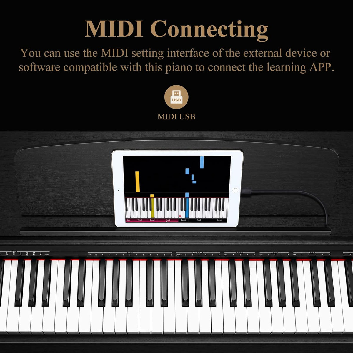 88-Key Digital Piano with Weighted Keys P4742