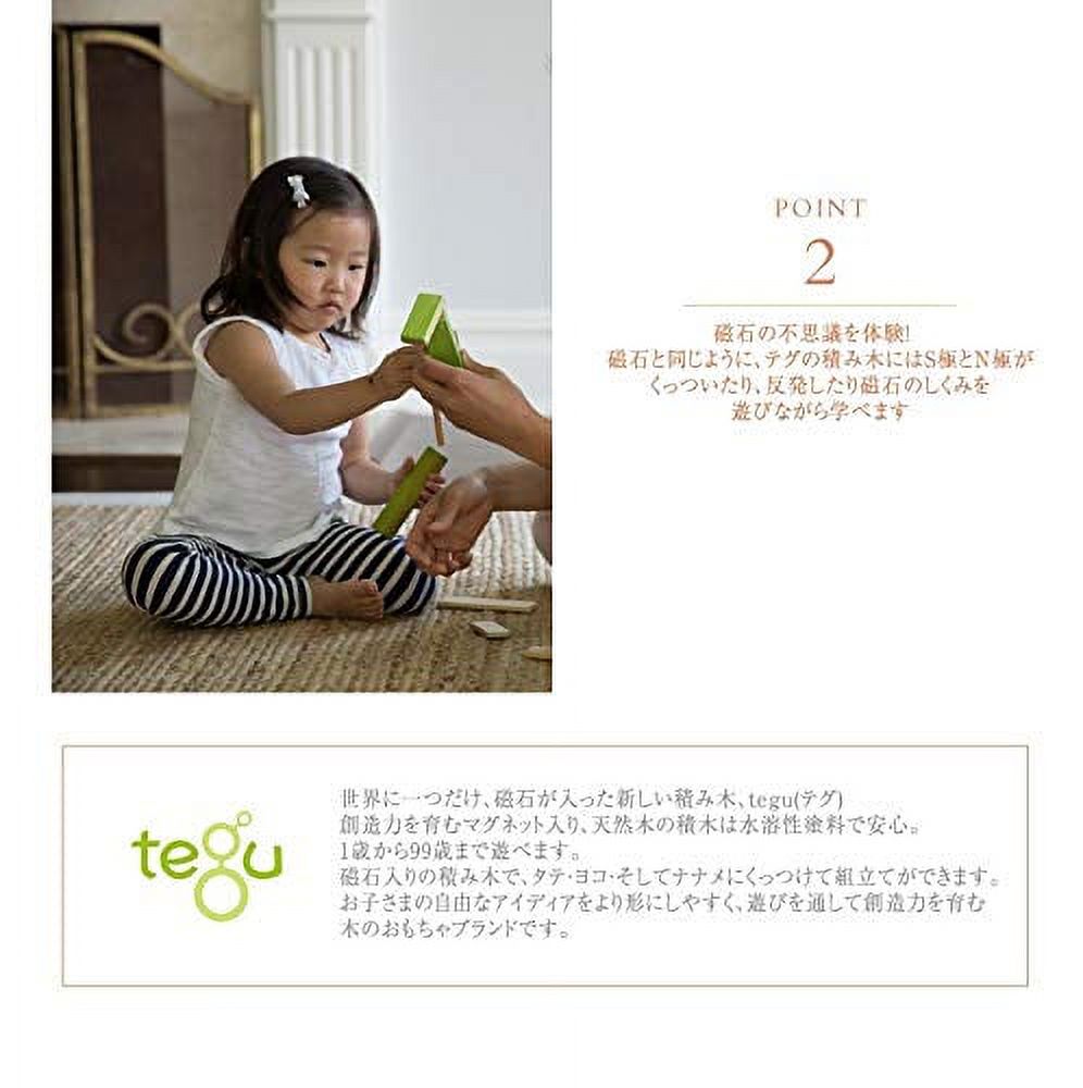 14 Piece Magnetic Wooden Block Set T333