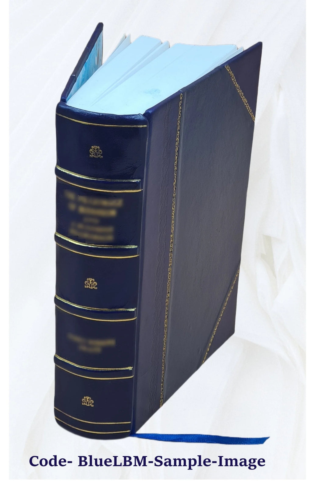 Bibliotheca historica selecta Volume 1 Leather Bound K447713