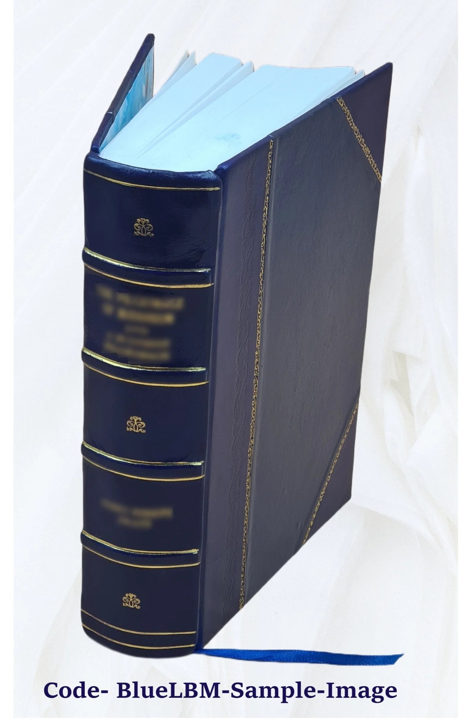 Bibliotheca historica selecta Volume 1 Leather Bound K447713