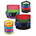 40 Collars Nylon Dog Collars Bulk Pack A311