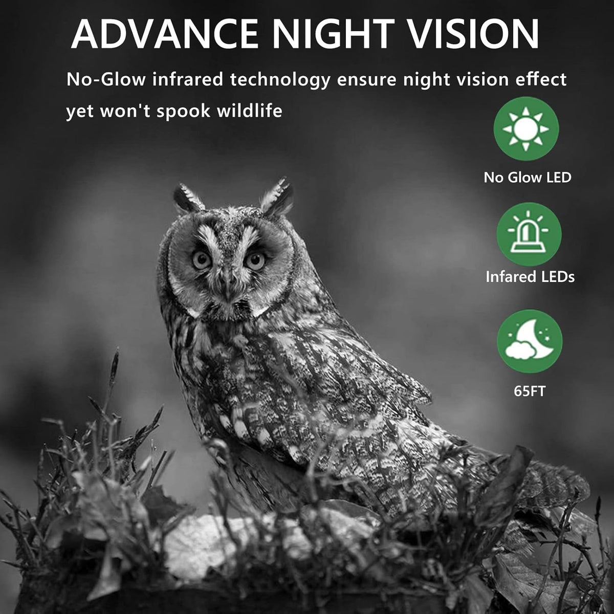 WiFi Trail Camera, 1520P 36MP Night Vision Motion Activated Waterproof Hunting Camera C6169