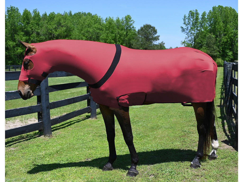 Full Body Slicker with Zipper T231