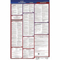 Fed/STA Wa Labor Law Poster 26inH 1yr K5708