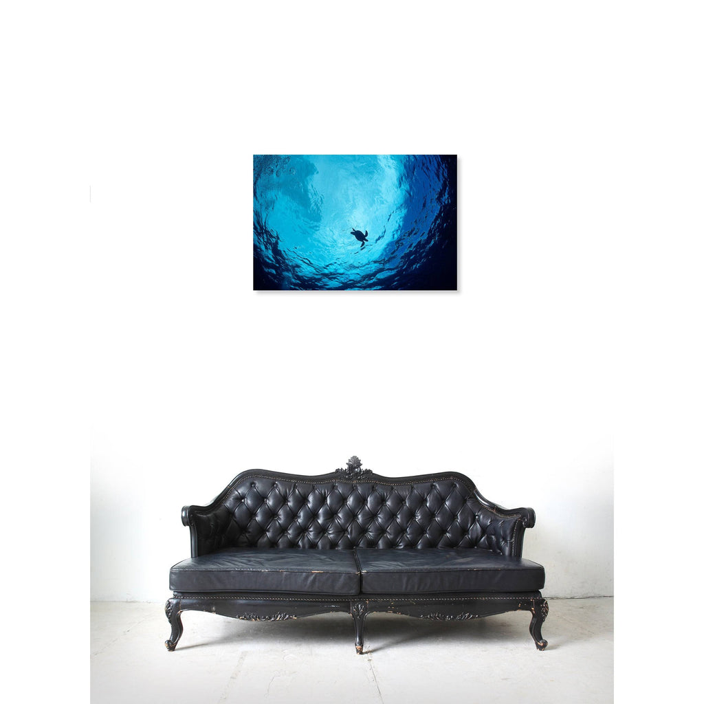 Blue Green Sea Turtle Canvas Art A376397