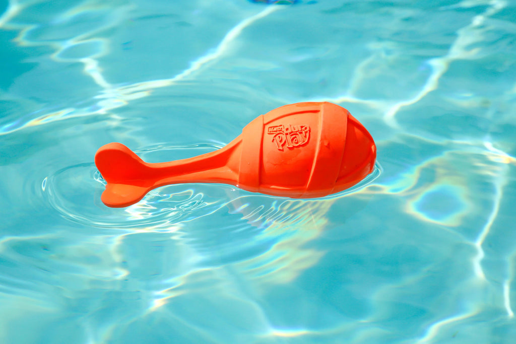 Dog Toy C267562