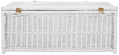 White/Brown Rattan Storage Trunk J9661