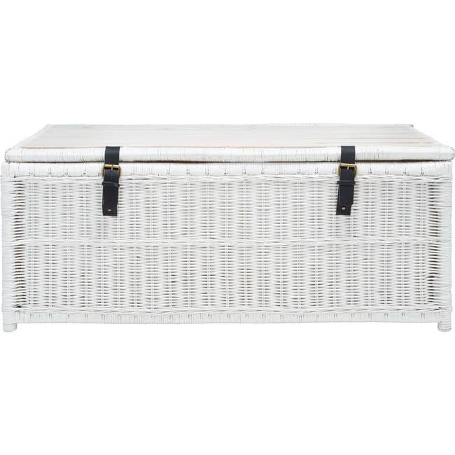 White/Brown Rattan Storage Trunk J9661