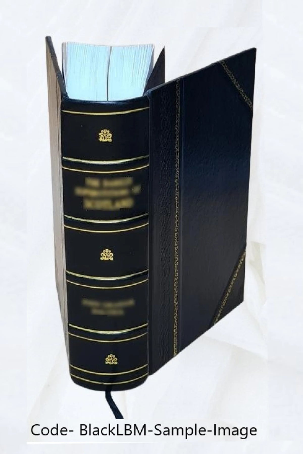 Bibliotheca historica selecta Volume 1 Leather Bound K447713