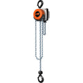 Hurricane Hand Chain Hoist 2 Ton 10' Lift G489
