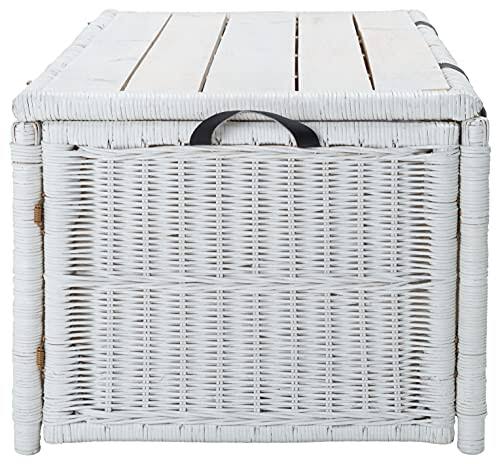 White/Brown Rattan Storage Trunk J9661