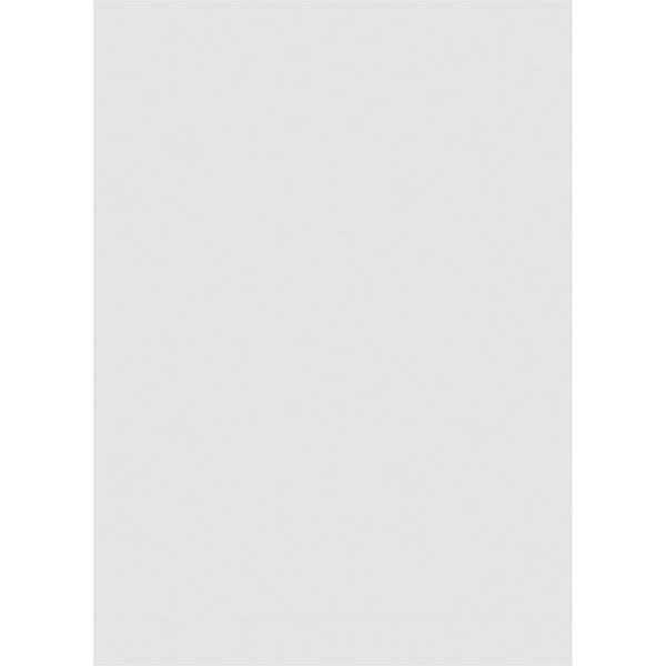 PVC Gable Vent with Brickmould A263542
