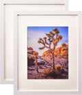 White 16x20 inches Wall Poster Frame Matted to 11x14 inches with Polystyrene Glass – 2 Pack M484889