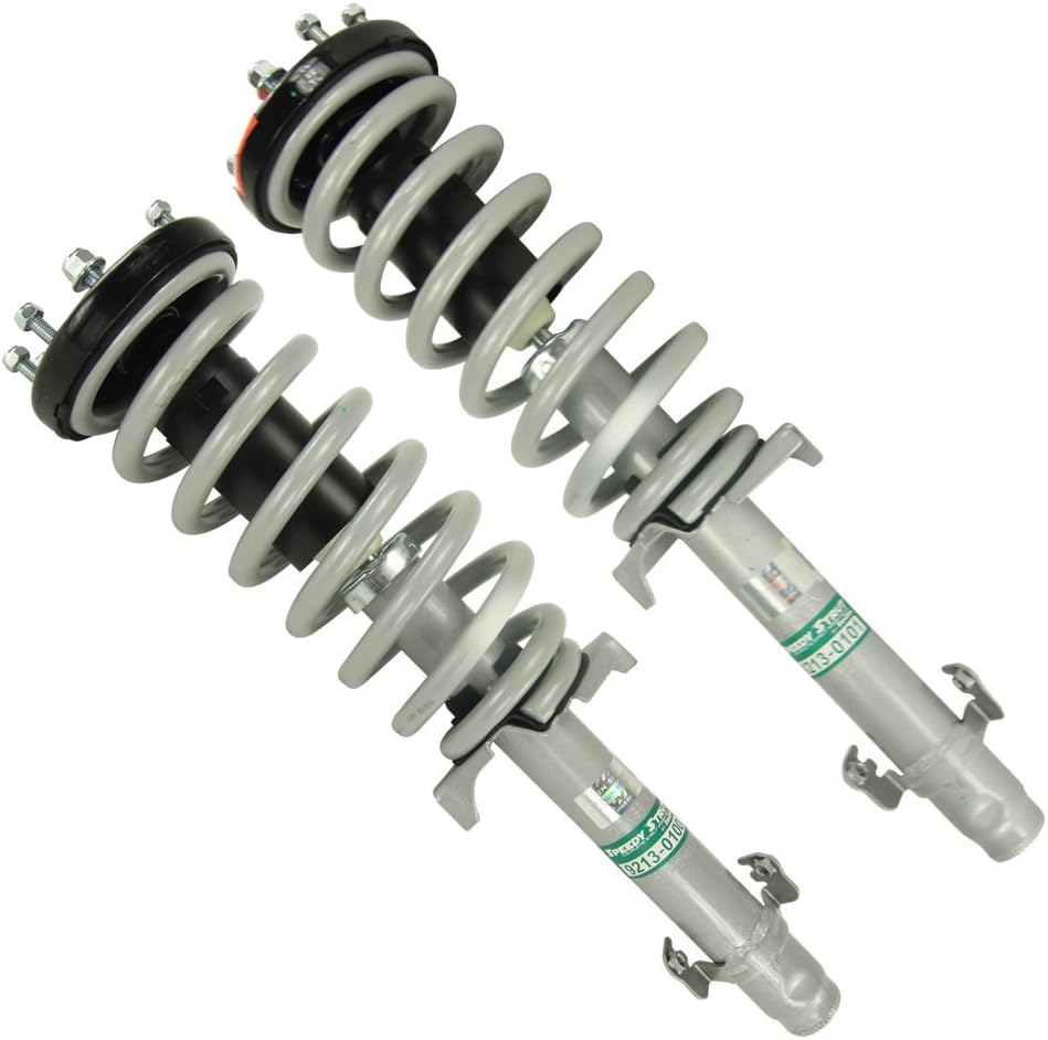 Front Pair Complete Strut Assembly M453819