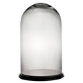 Dome Bell Jar Glass Terrarium B7549