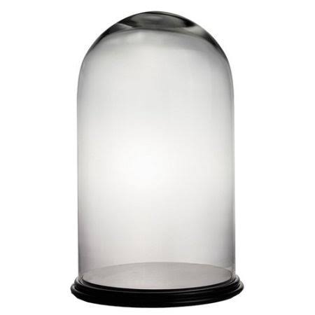 Dome Bell Jar Glass Terrarium B7549