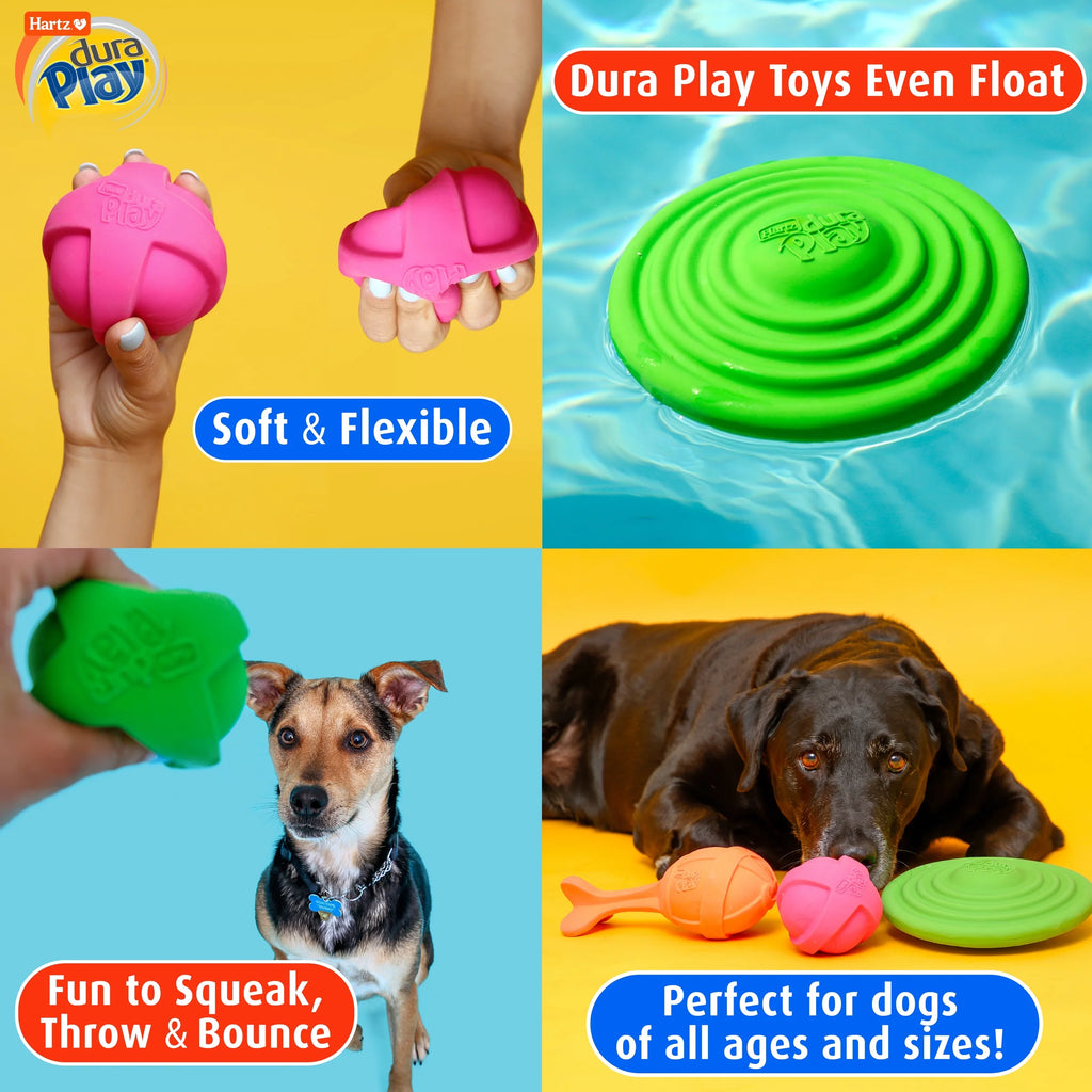 Dog Toy C267562