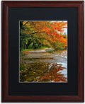 Black Matte Artwork, 16 by 20-Inch, Wood Frame X363