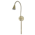 Antique Brass LED Wall Mount Gooseneck Lamp S42388