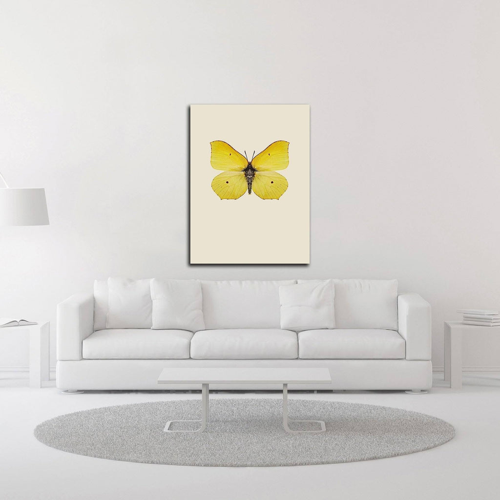 Print on Canvas D9926