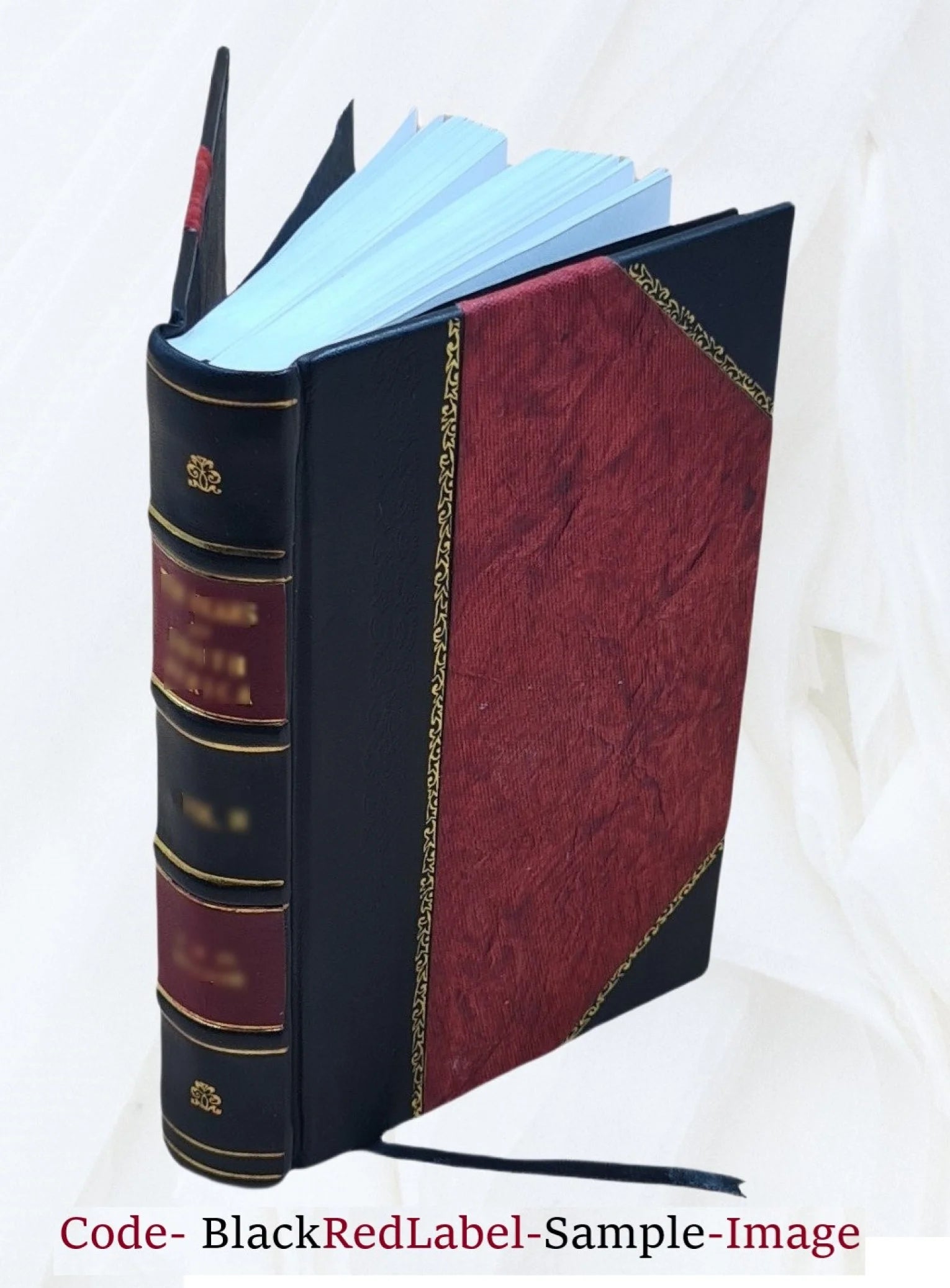Charlotte Ackerman S54500