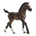 Arabian Foal P25351