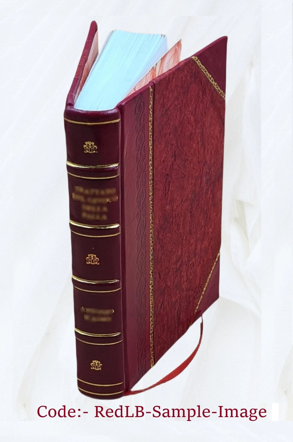 Charlotte Ackerman S54500