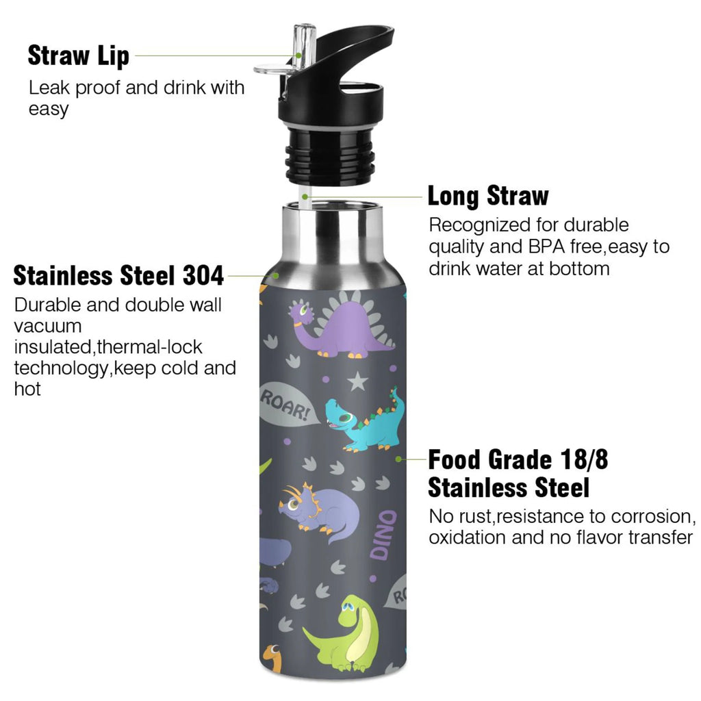20 OZ Stainless Steel Vacuum Insulated Water Bottle with Straw Lid M959